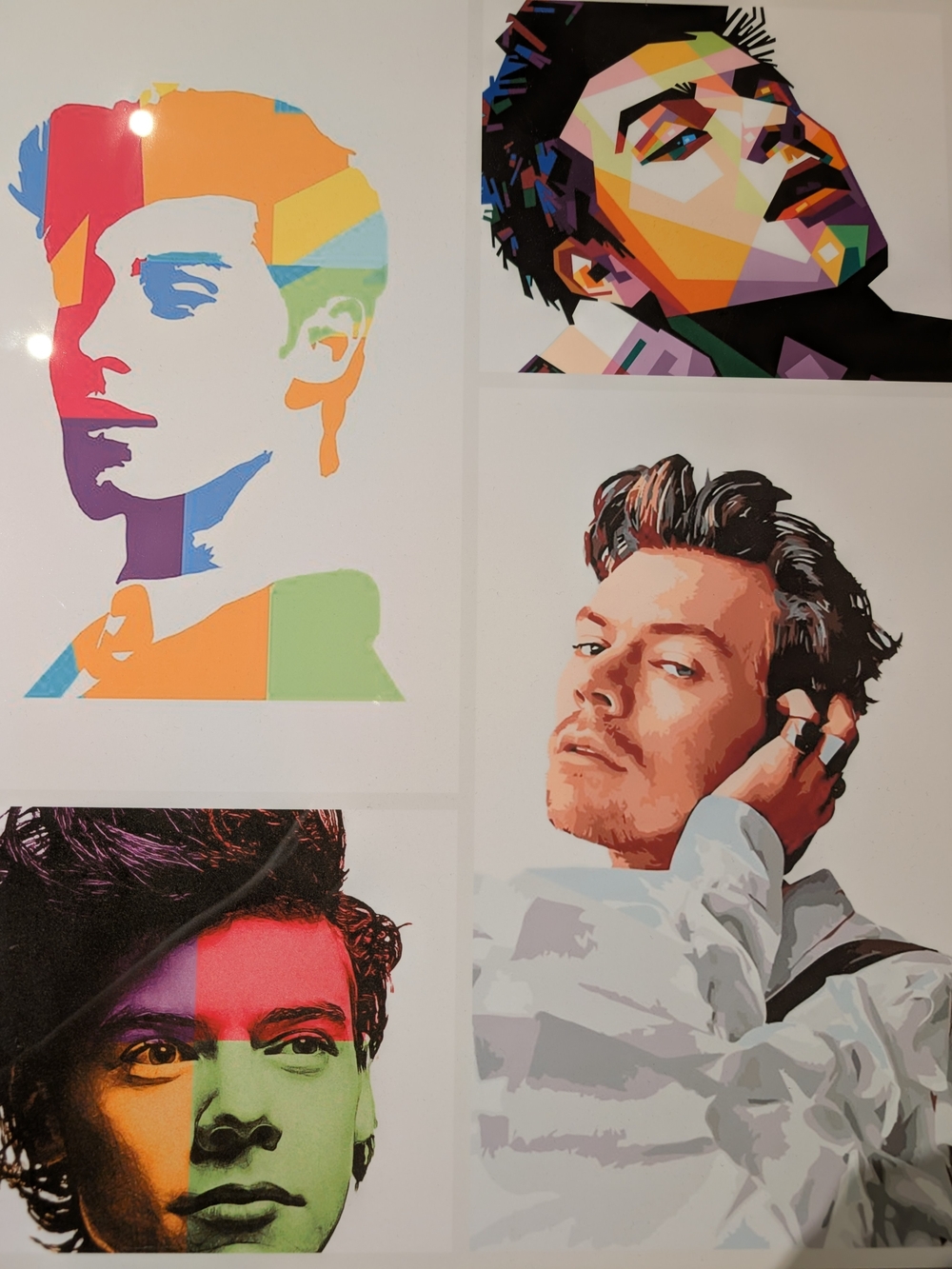 Harry Styles And Shawn Mendes Memorabilia